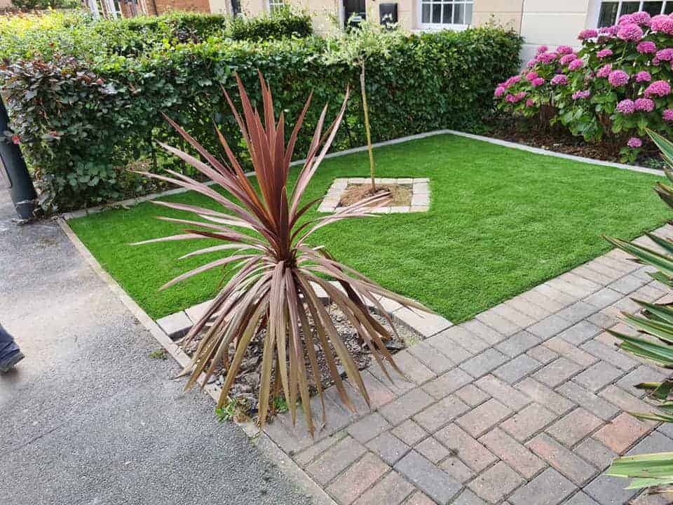 splendour garden with tree