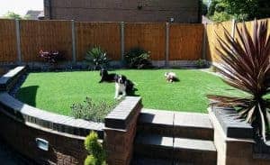 artificial-grass-direct-majestic-lawn