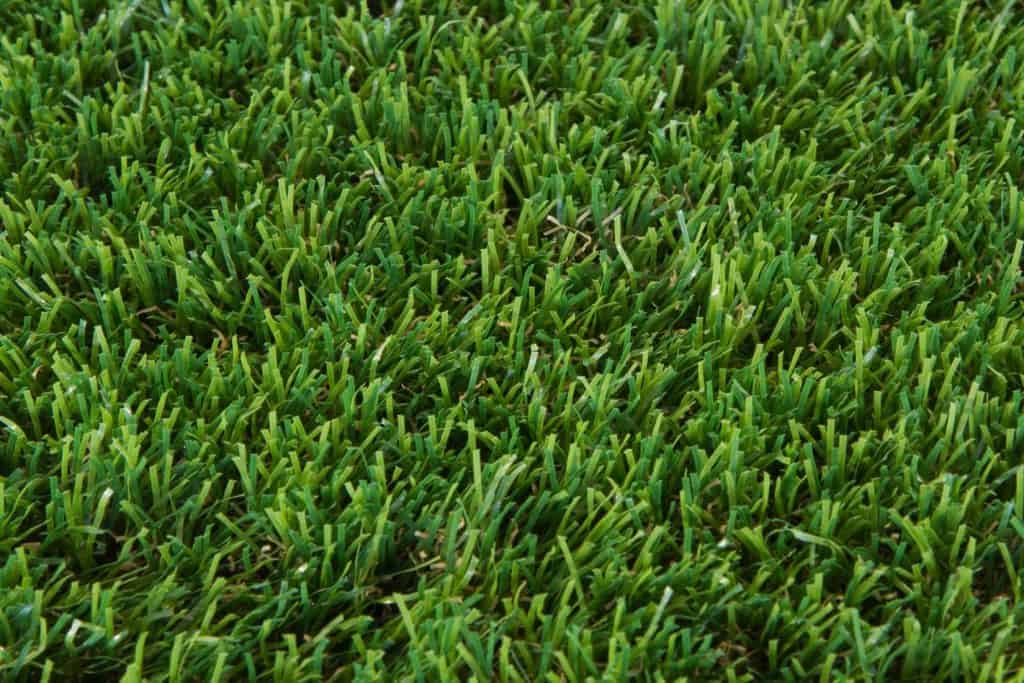 Buy Cheap Artificial Grass Online Best Prices at ArtificialGrass