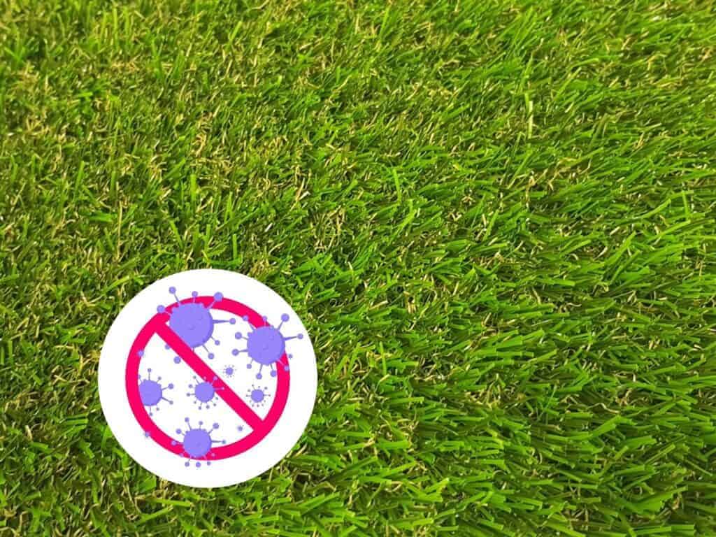 Miracle Grass with anti virus 2