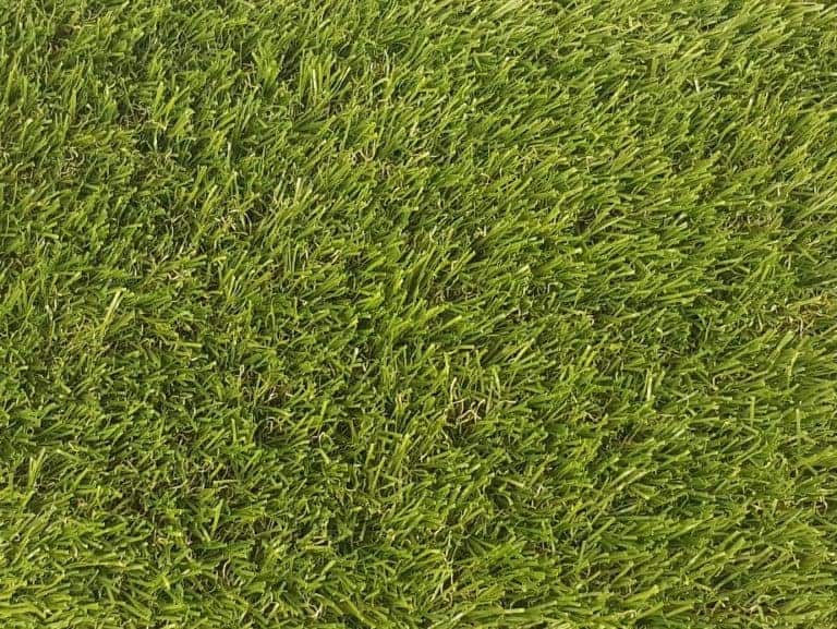 Buy Cheap Artificial Grass Online Best Prices at