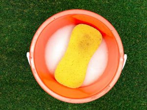 Cleaning your artificial lawn with a sponge