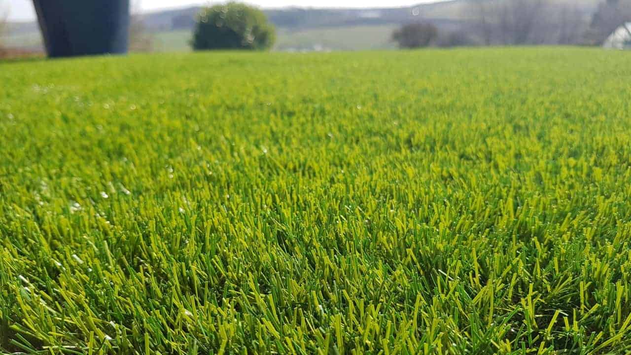 Top 16 cheap artificial grass in 2022 EUVietnam Business Network (EVBN)