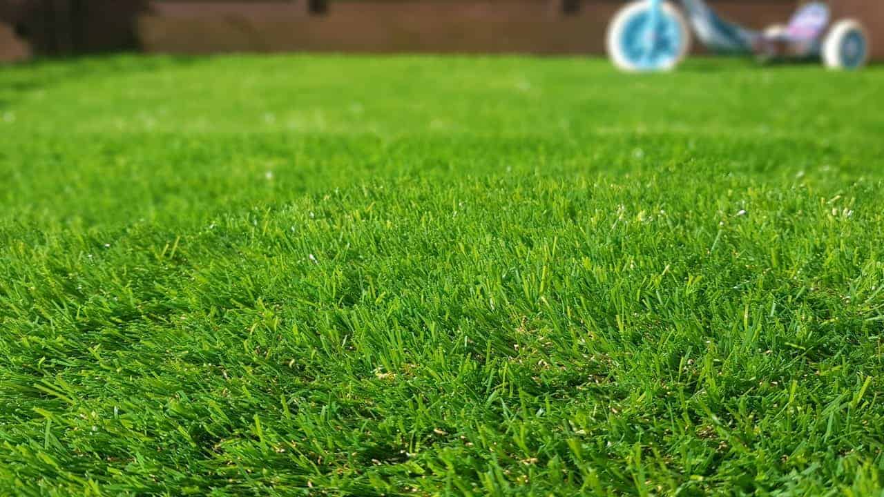Buy Good Quality Artificial Grass