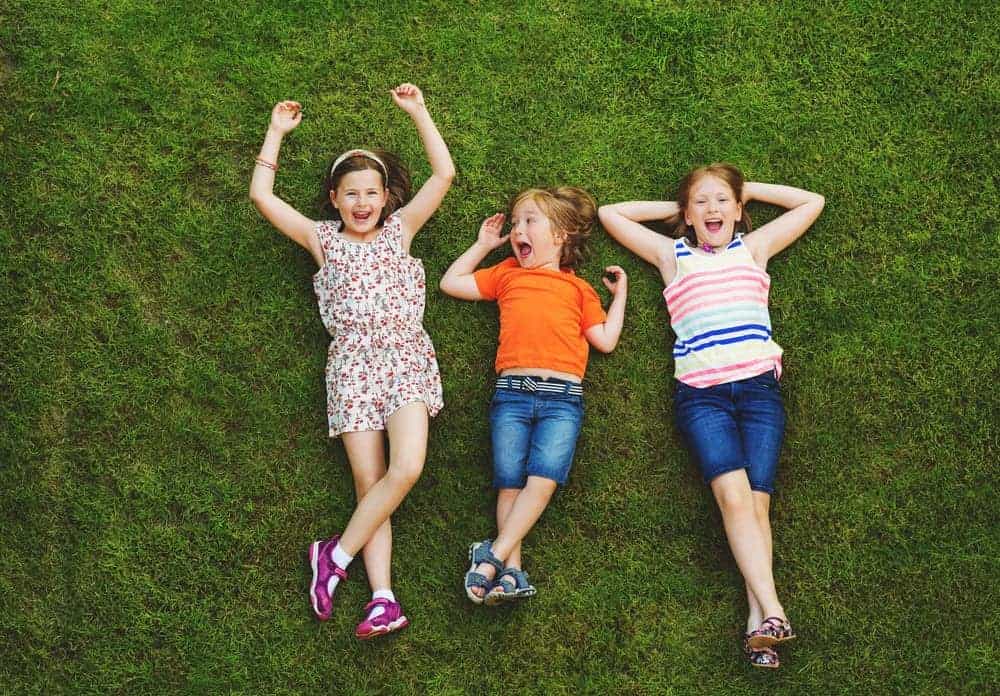 Is Artificial Grass Safe to Play On? Artificial Grass Direct Ltd