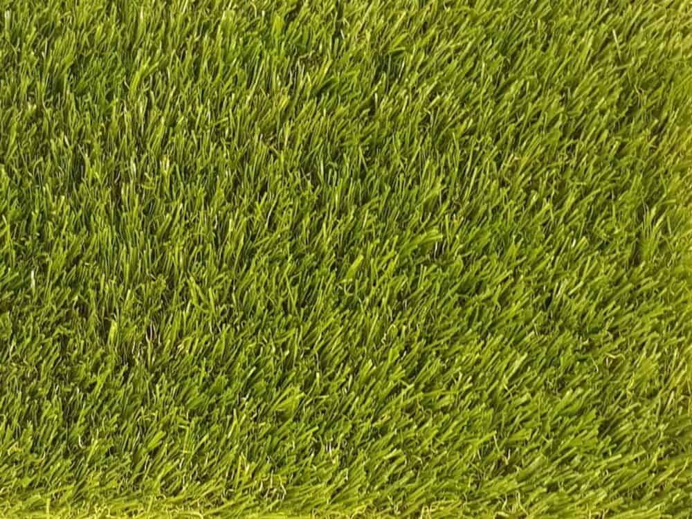 Eco 43 above 1 LR