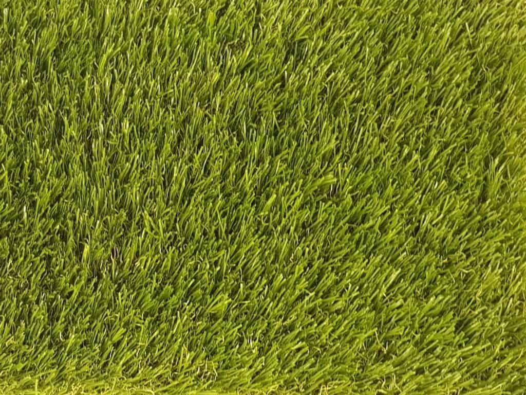 Eco 43 above 1 LR