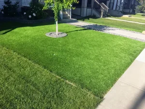 fake grass curbside