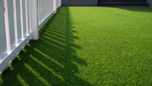 fake grass in the sun