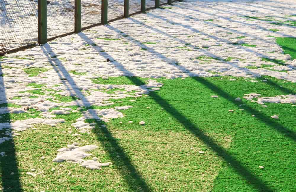 snow on artificial grass
