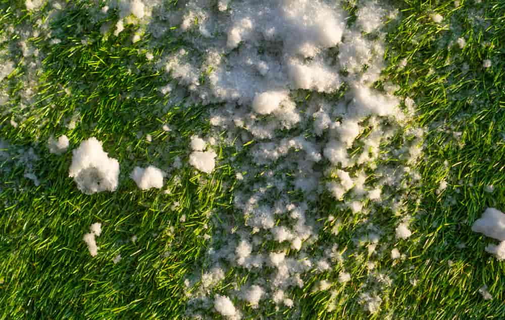 Can Artificial Grass Get Damaged by Frost or Snow in the winter